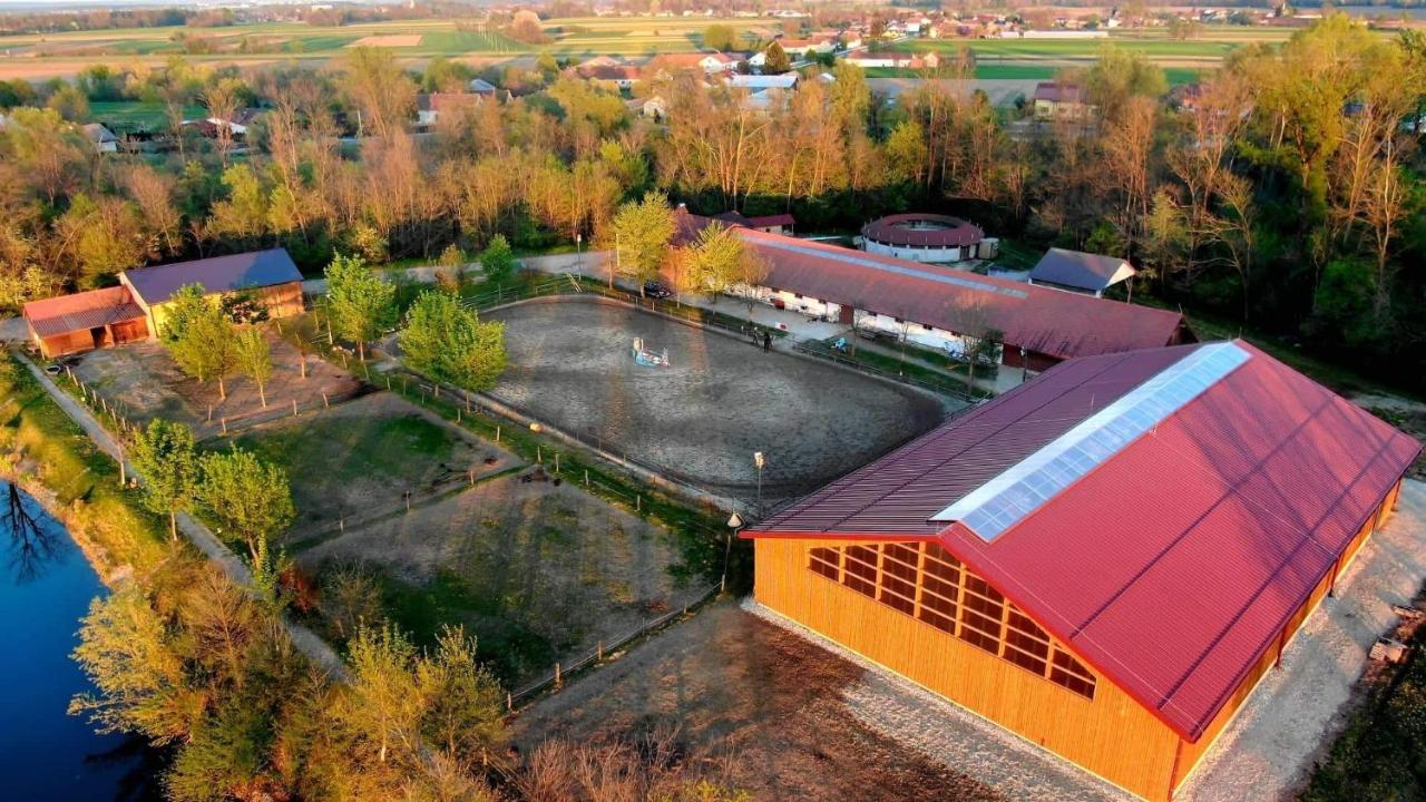 Apartment Country House Zaton Tisina المظهر الخارجي الصورة