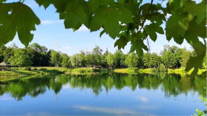 Apartment Country House Zaton Tisina المظهر الخارجي الصورة